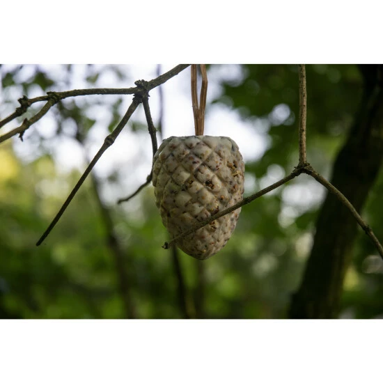 DOBAR Vogelfutter, 4 X Riesenzapfen, 4x Meisenzapfen 9 DOBAR Vogelfutter, 4 X Riesenzapfen, 4x Meisenzapfen – Bild 7