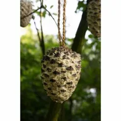 DOBAR Vogelfutter, 4 X Riesenzapfen, 4x Meisenzapfen 17 DOBAR Vogelfutter, 4 X Riesenzapfen, 4x Meisenzapfen -Günstiges Tierbedarf Geschäft unnamed file 6528