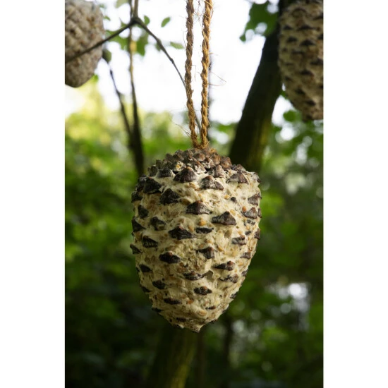 DOBAR Vogelfutter, 4 X Riesenzapfen, 4x Meisenzapfen 10 DOBAR Vogelfutter, 4 X Riesenzapfen, 4x Meisenzapfen – Bild 8