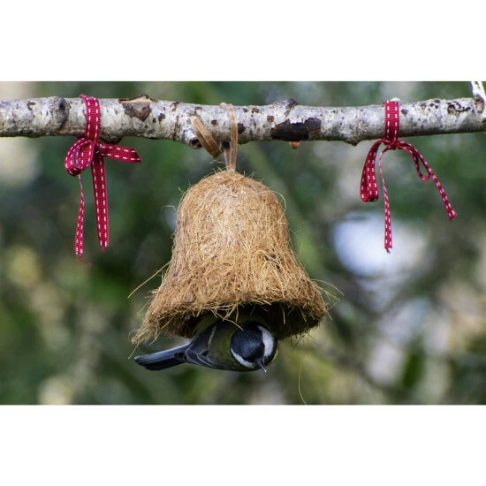 DOBAR Vogelfutter, 2 Kg 4 DOBAR Vogelfutter, 2 Kg – Bild 2