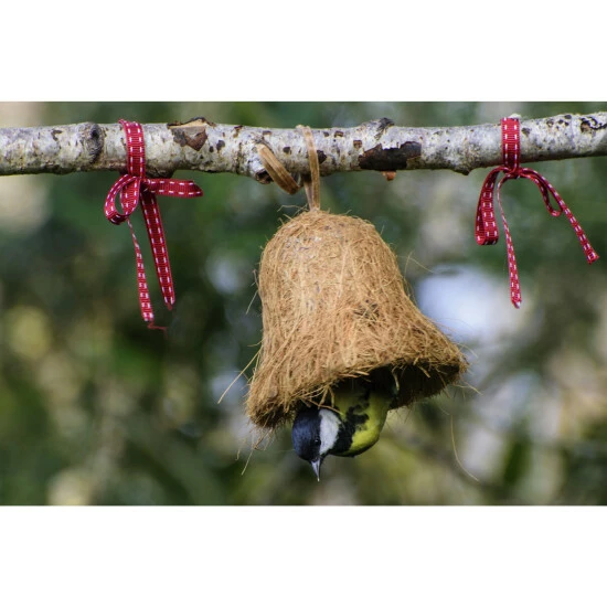 DOBAR Vogelfutter, 2 Kg 5 DOBAR Vogelfutter, 2 Kg – Bild 3