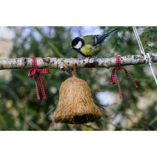 DOBAR Vogelfutter, 2 Kg 6 DOBAR Vogelfutter, 2 Kg – Bild 4