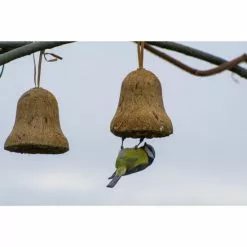 DOBAR Vogelfutter, 2 Kg 13 DOBAR Vogelfutter, 2 Kg -Günstiges Tierbedarf Geschäft unnamed file 6545