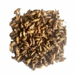 Kräuter- / Blütenmischung »Terra Hugro«, 50 G, Heimchen