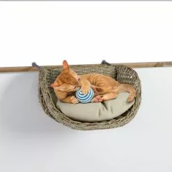 GREEMOTION Haustier-Sofa, Beige, BxHxL: 50,5 X 31,5 X 29,5 Cm 12 GREEMOTION Haustier-Sofa, Beige, BxHxL: 50,5 X 31,5 X 29,5 Cm -Günstiges Tierbedarf Geschäft unnamed file 6781