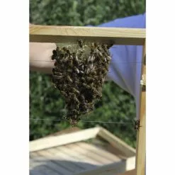 DOBAR Einraumbeute, BxHxL: 55 X 99 X 87 Cm, Holz -Günstiges Tierbedarf Geschäft unnamed file 6871