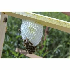 DOBAR Einraumbeute, BxHxL: 55 X 99 X 87 Cm, Holz -Günstiges Tierbedarf Geschäft unnamed file 6872