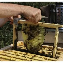 DOBAR Einraumbeute, BxHxL: 55 X 99 X 87 Cm, Holz -Günstiges Tierbedarf Geschäft unnamed file 6876