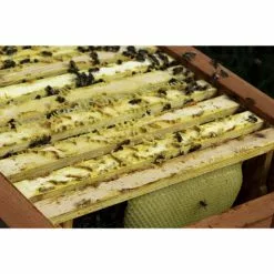 DOBAR Einraumbeute, BxHxL: 55 X 99 X 87 Cm, Holz -Günstiges Tierbedarf Geschäft unnamed file 6879