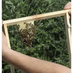 DOBAR Einraumbeute, BxHxL: 55 X 99 X 87 Cm, Holz -Günstiges Tierbedarf Geschäft unnamed file 6882