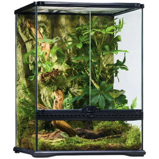 EXO TERRA Glasterrarium, 45 X 45 X 45 Cm, Inklusive Rückwand 3 EXO TERRA Glasterrarium, 45 X 45 X 45 Cm, Inklusive Rückwand