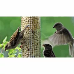 DOBAR Vogelfuttersäule, Metall, Silberfarben 6 DOBAR Vogelfuttersäule, Metall, Silberfarben -Günstiges Tierbedarf Geschäft unnamed file 7079