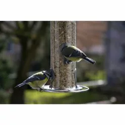 DOBAR Vogelfuttersäule, Acrylglas/Metall, Silberfarben 8 DOBAR Vogelfuttersäule, Acrylglas/Metall, Silberfarben -Günstiges Tierbedarf Geschäft unnamed file 7093