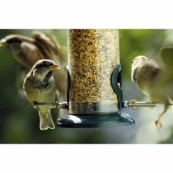 DOBAR Vogelfuttersäule, Kunststoff/Metall, Grün 10 DOBAR Vogelfuttersäule, Kunststoff/Metall, Grün -Günstiges Tierbedarf Geschäft unnamed file 7109