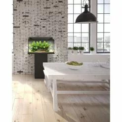 Tetra StarterLine LED Aquarium Komplett-Set Schwarz 80L -Günstiges Tierbedarf Geschäft unnamed file 7131