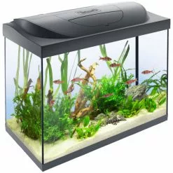 Tetra StarterLine LED Aquarium Komplett-Set Schwarz 80L -Günstiges Tierbedarf Geschäft unnamed file 7132