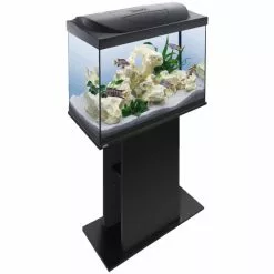 Tetra StarterLine LED Aquarium Komplett-Set Schwarz 80L -Günstiges Tierbedarf Geschäft unnamed file 7134
