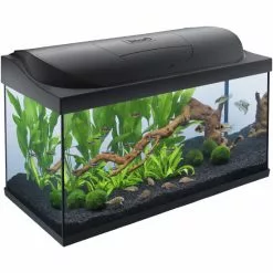 Tetra StarterLine LED Aquarium Schwarz 105L -Günstiges Tierbedarf Geschäft unnamed file 7141