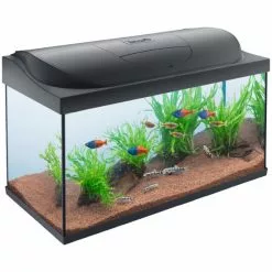 Tetra StarterLine LED Aquarium Schwarz 105L -Günstiges Tierbedarf Geschäft unnamed file 7142