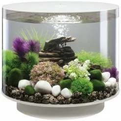 OASE BiOrb TUBE 35 LED Weiß