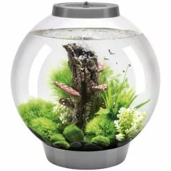 OASE BiOrb CLASSIC 30 LED Silber