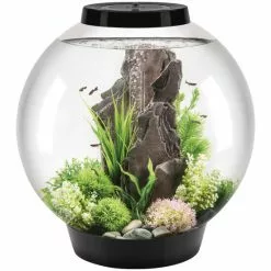 OASE BiOrb CLASSIC 60 LED Schwarz