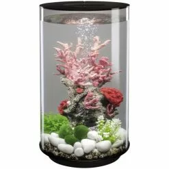 OASE BiOrb TUBE 30 LED Schwarz