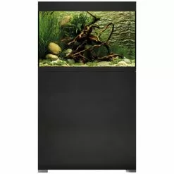 OASE StyleLine 125 Schwarz Set