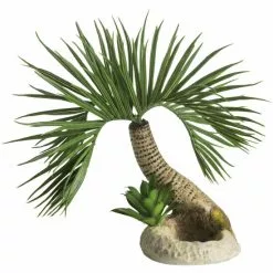 OASE Aquariendeko, BiOrb Palme Seychellen