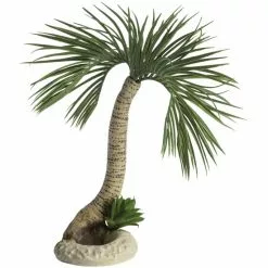 OASE Aquariendeko, BiOrb Palme Seychellen