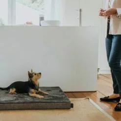 HUNTER Orthopädische Hundematte, BxL: 60 X 80 Cm, Schwarz -Günstiges Tierbedarf Geschäft unnamed file 7501