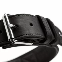 HUNTER Trainingshalsband, Gr. L, Schwarz -Günstiges Tierbedarf Geschäft unnamed file 7535