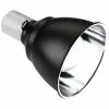 EXO TERRA Reflektorklemmlampe Light Dome Schwarz Ø 18 X 17 Cm