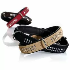 HUNTER Halsband »Softie«, Gr. S, Rot/schwarz -Günstiges Tierbedarf Geschäft unnamed file 7582