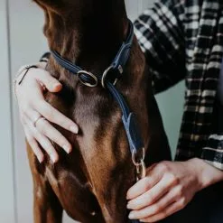 HUNTER Halsband »Round & Soft«, Gr. S, Dunkelblau -Günstiges Tierbedarf Geschäft unnamed file 7609