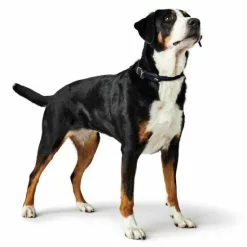 HUNTER Halsband »Round & Soft«, Gr. S-M, Dunkelblau -Günstiges Tierbedarf Geschäft unnamed file 7629