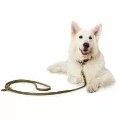 HUNTER Führleine, Gr. 250 Cm, Olivgrün -Günstiges Tierbedarf Geschäft unnamed file 7636