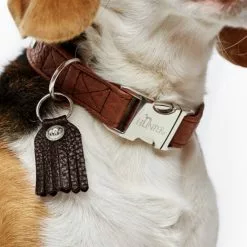 HUNTER Halsung, Gr. M, Cognacfarben -Günstiges Tierbedarf Geschäft unnamed file 7724