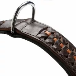 HUNTER Halsband, Gr. S-M, Dunkelbraun/schwarz -Günstiges Tierbedarf Geschäft unnamed file 7761