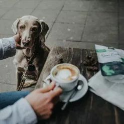 HUNTER Dressurhalsung, Gr. L, Olivgrün -Günstiges Tierbedarf Geschäft unnamed file 7833