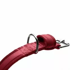 HUNTER Halsband »Aalborg«, Gr. L, Rot -Günstiges Tierbedarf Geschäft unnamed file 7852