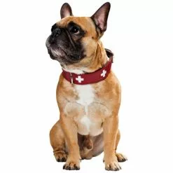 HUNTER Halsband, Gr. XL, Rot/schwarz -Günstiges Tierbedarf Geschäft unnamed file 7882