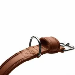 HUNTER Halsband »Aalborg«, Gr. L, Cognacfarben -Günstiges Tierbedarf Geschäft unnamed file 7981