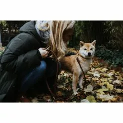 HUNTER Führleine »Round & Soft«, Gr. 200 Cm, Braun -Günstiges Tierbedarf Geschäft unnamed file 8018