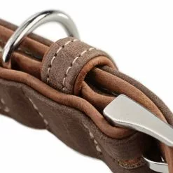 HUNTER Halsband, Gr. M, Tabakbraun/cognacfarben -Günstiges Tierbedarf Geschäft unnamed file 8049