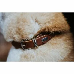 HUNTER Halsband »Round & Soft«, Gr. S-M, Braun -Günstiges Tierbedarf Geschäft unnamed file 8101