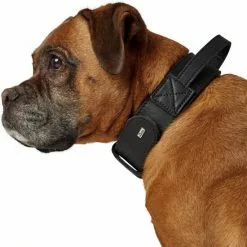 HUNTER Trainingshalsband, Gr. M-L, Schwarz -Günstiges Tierbedarf Geschäft unnamed file 8107