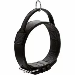 HUNTER Trainingshalsband, Gr. M-L, Schwarz -Günstiges Tierbedarf Geschäft unnamed file 8115