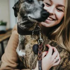 HUNTER Windhundhalsband, Gr. S-M, Dunkelbraun -Günstiges Tierbedarf Geschäft unnamed file 8205