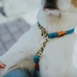 HUNTER Halsung, Gr. S, Petrolfarben -Günstiges Tierbedarf Geschäft unnamed file 8258